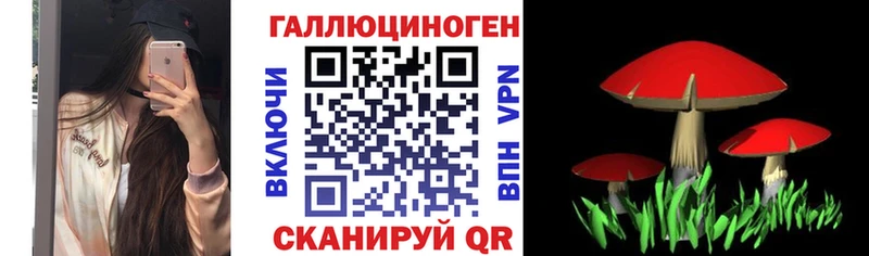 MEGA маркетплейс  Бахчисарай  Псилоцибиновые грибы прущие грибы  купить наркотики цена 
